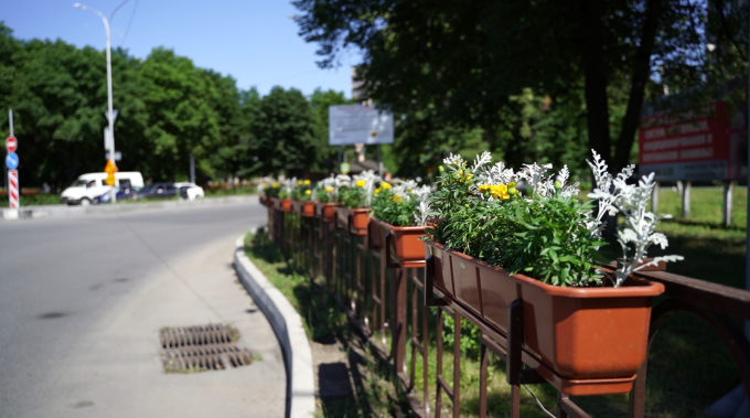Улицы Владикавказа украсили 5-ю тысячами цветов
