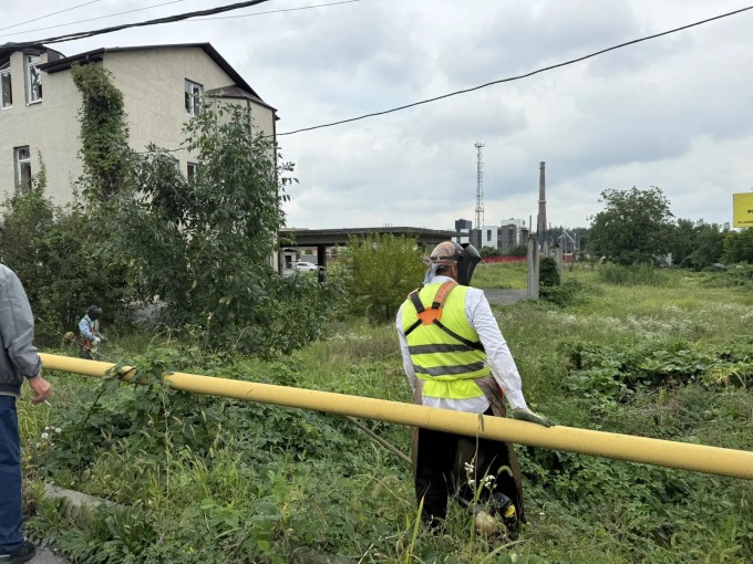 Амброзии и борщевику здесь не место: во Владикавказе борются с сорной растительностью 