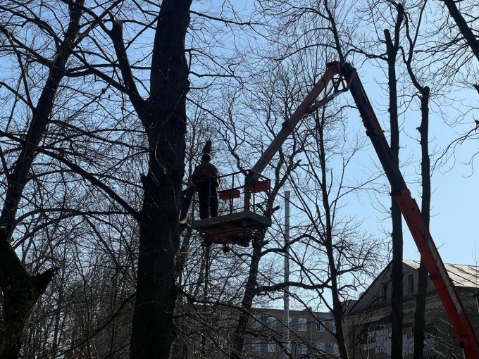 В Центральном парке культуры и отдыха им. К. Л. Хетагурова сегодня начались работы по сносу шести аварийных деревьев. По каждому из деревьев есть заключение специалистов-дендрологов 
