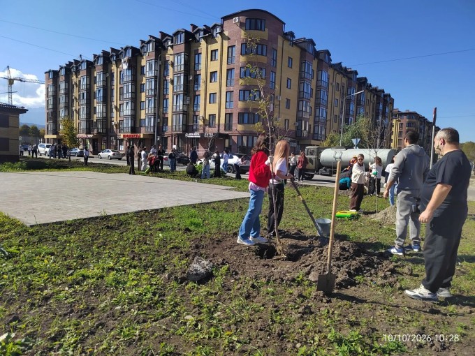 В «Московском квартале» на ул. Ш. Джикаева высадили 25 кленов двух видов