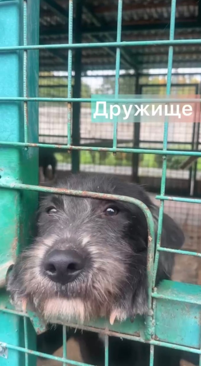 Акция «Владпитомника» продолжается 