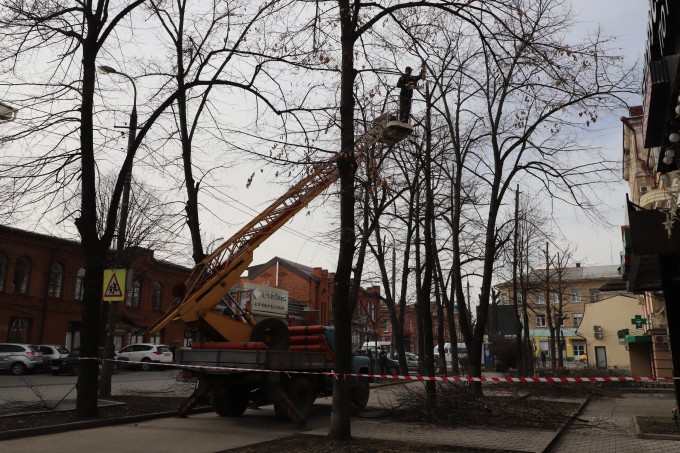 На улицах Владикавказа проходит санитарная обрезка деревьев.