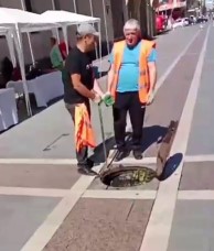 На проспекте Мира прочищены дождеприёмные камеры 