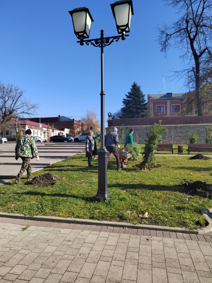 Сосновая роща высажена в центральном парке.