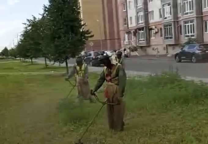 ВЫ/МЫ