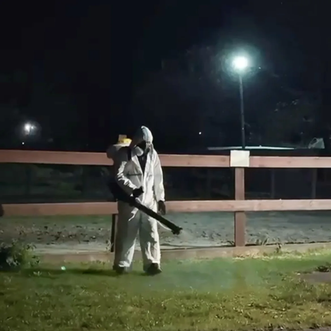 В десяти общественных пространствах Владикавказа проведут плановую противоклещевую обработку