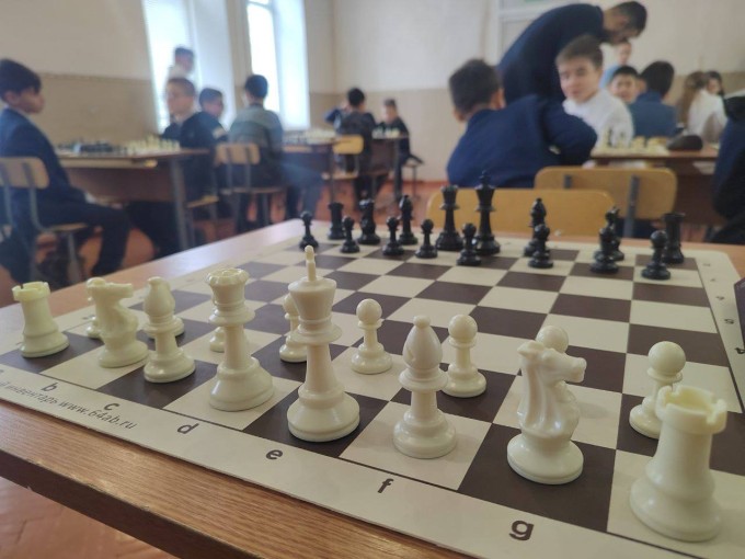 Более 70 владикавказских школьников приняли участие в седьмом муниципальном шахматном турнире «Белая ладья». 