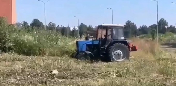 За минувшую неделю специалисты ВМБУ «СпецЭкоСервис» выполнили ряд работ: