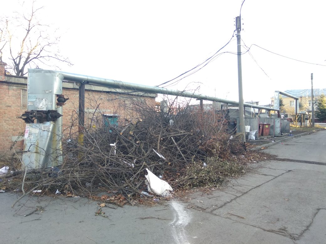 Борис Албегов провёл рейд на предмет санитарного состояния города Владикавказ