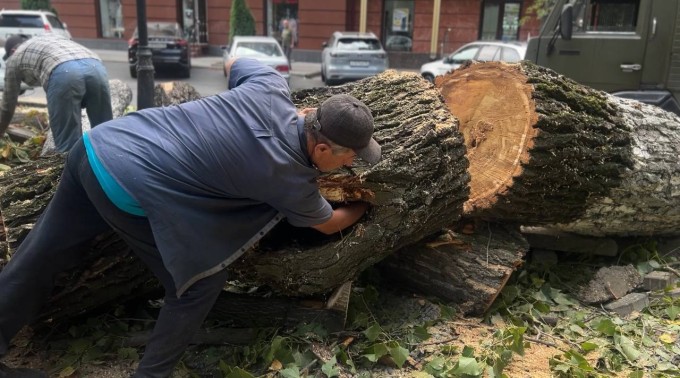 Во Владикавказе приступили к первому этапу благоустройства аллеи по улице Тамаева 