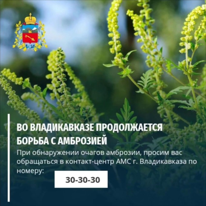 Уважаемые жители Владикавказа! 