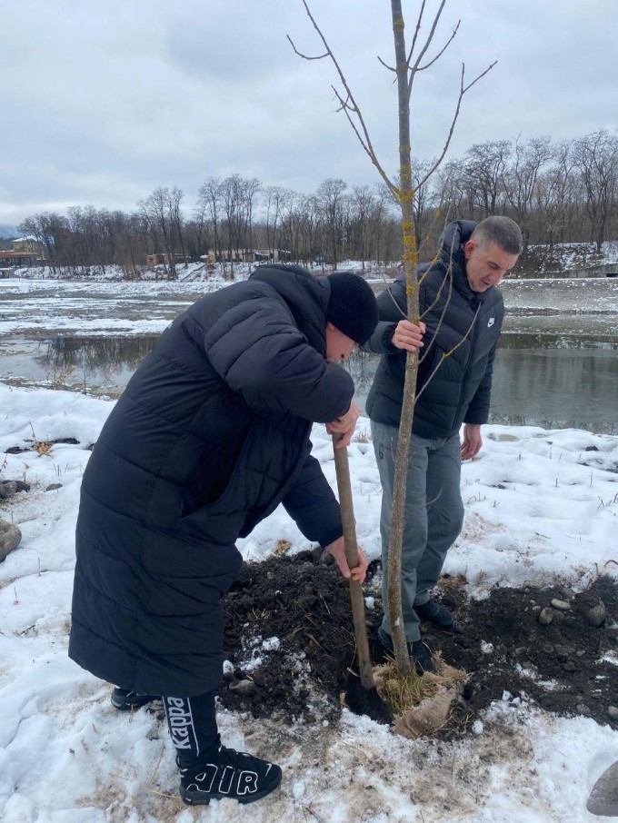 Владикавказ зеленый! За прошедшую неделю в городе высадили 608 саженцев лиственных деревьев.  